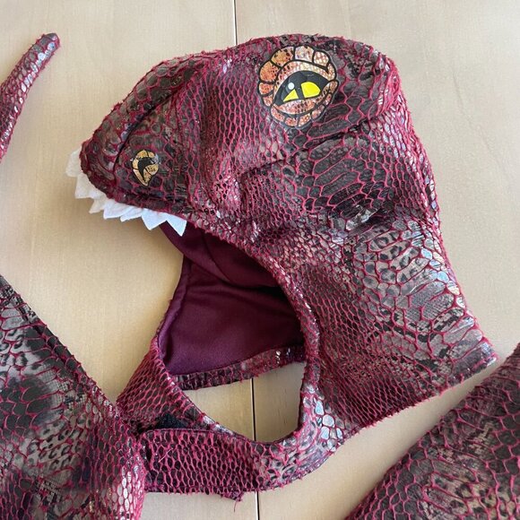 Animal Planet T-Rex & Triceratops Dino Dinosaur Dog Halloween Costume - Size Med - Picture 4 of 12